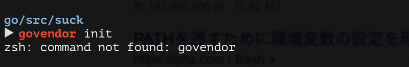 安装 govendor